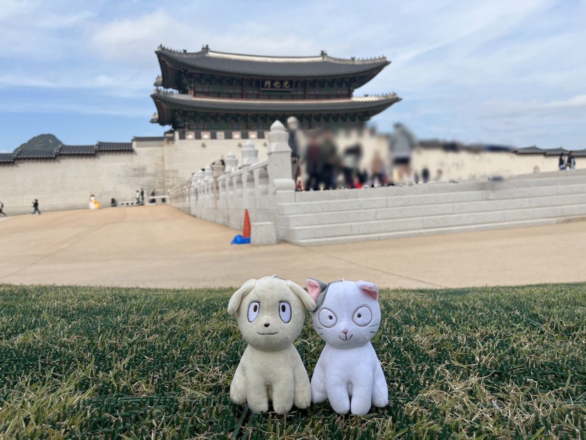 🕌映画『#金の国水の国』🌊 本日から韓国で公開です！🎉 애니메이션 영화 ‘금의 나라 물의 나라’ 한국에서 공개합니다! #금의나라물의나라...