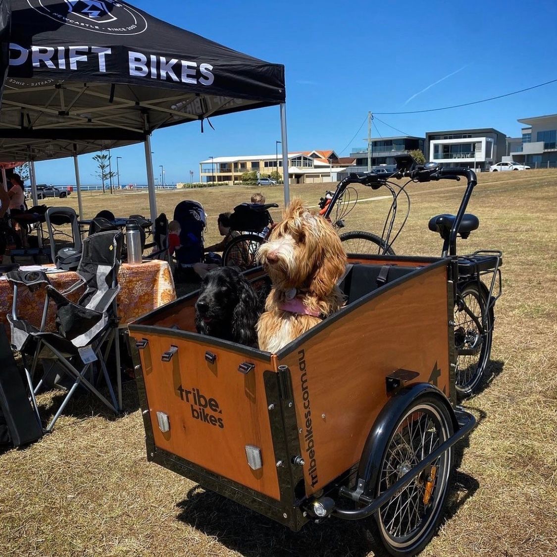 tribe_bikes's tweet photo. A couple of pooches enjoying a cruise in a Tribe Original. Did you know your Tribe Original can be fitted with a front door so your big dogs can easily get in and out of your bike by themselves? https://t.co/iL6NrQRFG7