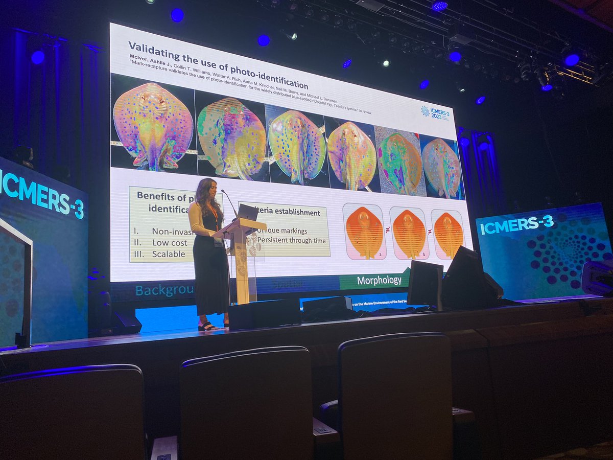 Reef Ecology Lab tweet media