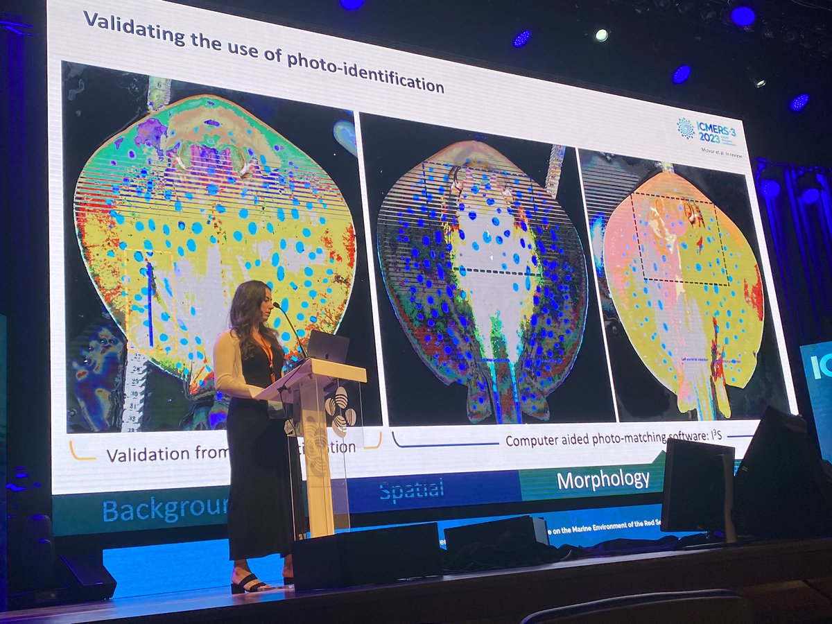 Reef Ecology Lab tweet media