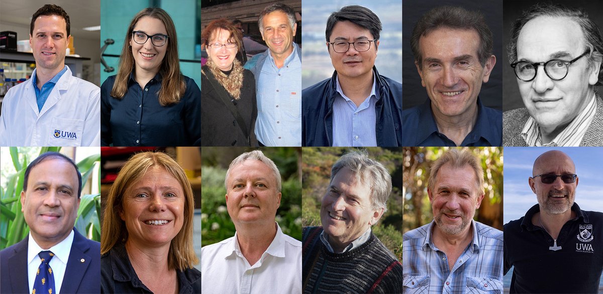 UWA (@uwanews) on Twitter photo Huge congratulations to our 13 academics who have been named Highly Cited Researchers for 2023! #UWA <a href="/UWAresearch/">UWA Research</a> #HighlyCited2023 <a href="/ClarivateAG/">Clarivate for Academia & Government</a> bit.ly/47yEN6t Huge congratulations to our 13 academics who have been named Highly Cited Researchers for 2023! #UWA <a href="/UWAresearch/">UWA Research</a> #HighlyCited2023 <a href="/ClarivateAG/">Clarivate for Academia & Government</a> bit.ly/47yEN6t