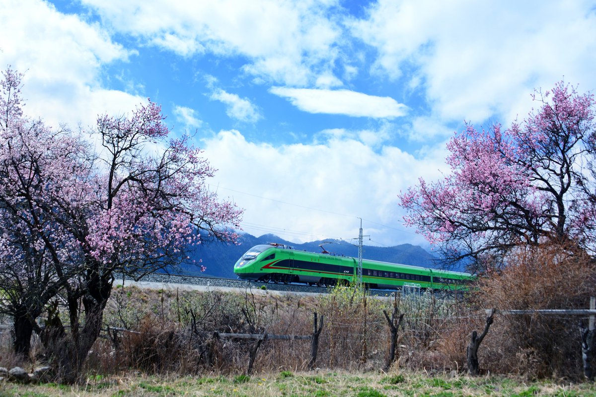 CRRCZELC_Europe's tweet photo. Enjoy the the beauty of Tibet aboard the CRRC Fuxing Power Centralized EMU! 🏞️
#Tibet #Fuxing #Train #railway #CRRC #ZELC https://t.co/2XZtDibzyP