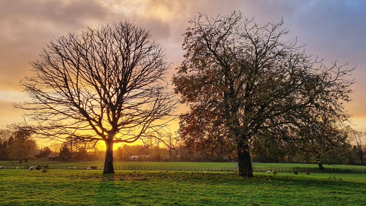 The benefits of a rare working from home day - a 10k sunrise run around Graves Park and at my desk working before 9am.