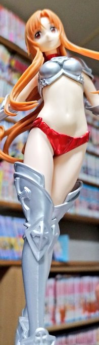 いつも箱にはいってないこをお迎えしております。 