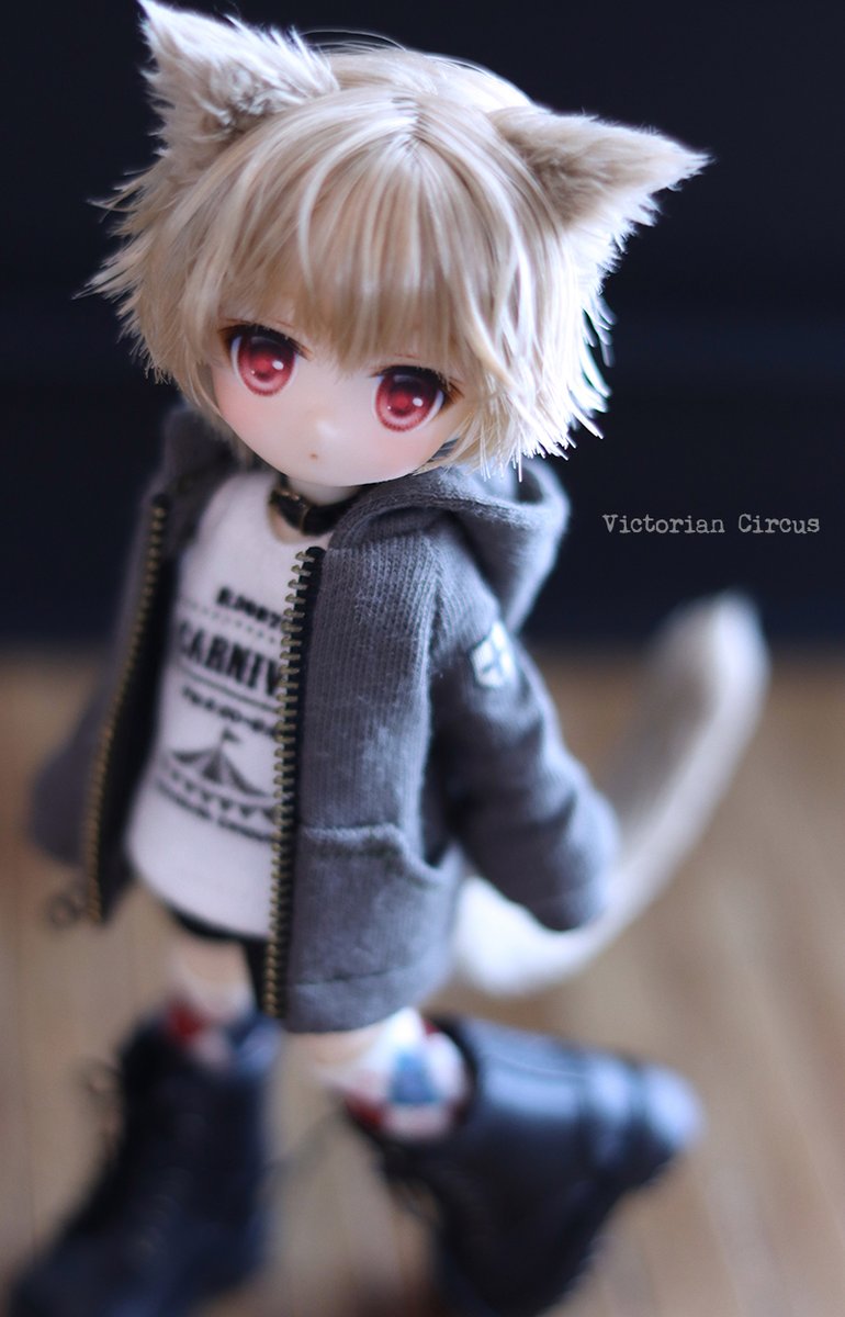 victorian_cs's tweet photo. ピコPボディのRitoくん誕生しました🐣
https://t.co/MtwhOqTEIk https://t.co/0ercqKqTCy