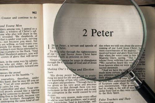 TheDailyWitness's tweet photo. Are you reading your New Testament in a year? Then you should be on 2 Peter 1 today. Follow us for daily updates on reading your New Testament in a year #BibleTryThisLook #Bible #WednesdayMotivation #TheDailyWitness https://t.co/tF0oQkp9JR