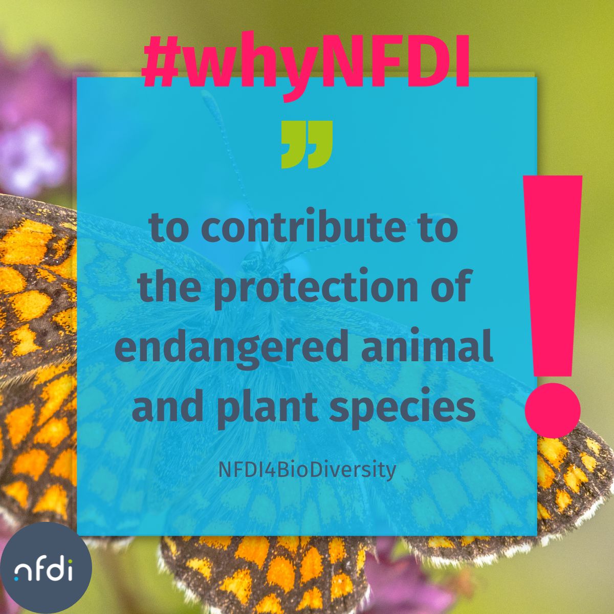 NFDI - @NFDI@nfdi.social (@nfdi_de) on Twitter photo To stop species extinction, decision-makers need access to reliable biodiversity data. <a href="/NFDI4BioDiv/">NFDI4Biodiversity</a> works to make that data easier available – for research, nature conservation and landscape management.
🎥Check out the video: youtu.be/QWzDLi1CQKI
#whyNFDI #FDM #NFDIrocks To stop species extinction, decision-makers need access to reliable biodiversity data. <a href="/NFDI4BioDiv/">NFDI4Biodiversity</a> works to make that data easier available – for research, nature conservation and landscape management.
🎥Check out the video: youtu.be/QWzDLi1CQKI
#whyNFDI #FDM #NFDIrocks