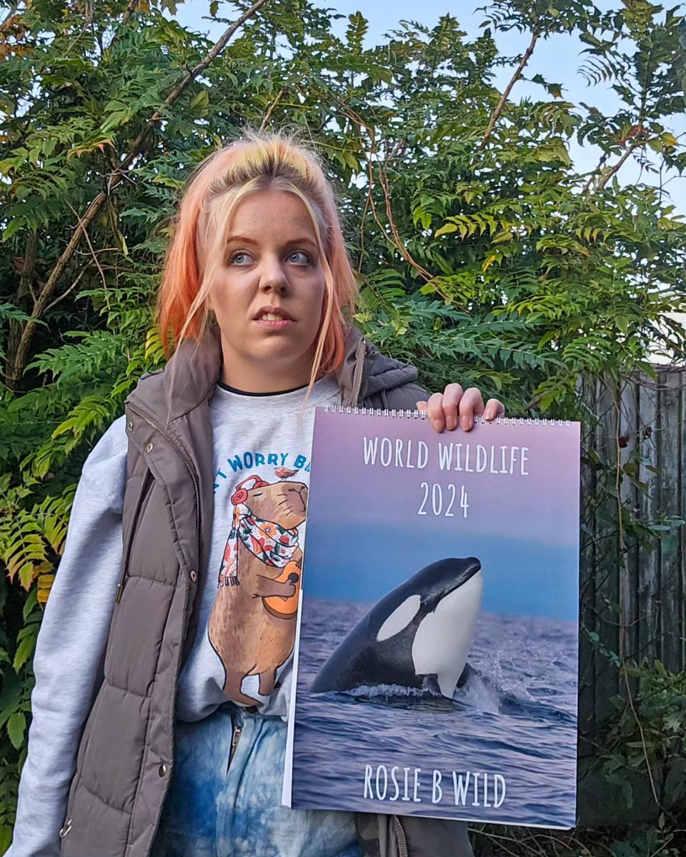 Don't buy my calendar, it's rubbish. 

If you do want a rubbish calendar - you can get them here. 
 rosiebwild.co.uk/product-page/2…