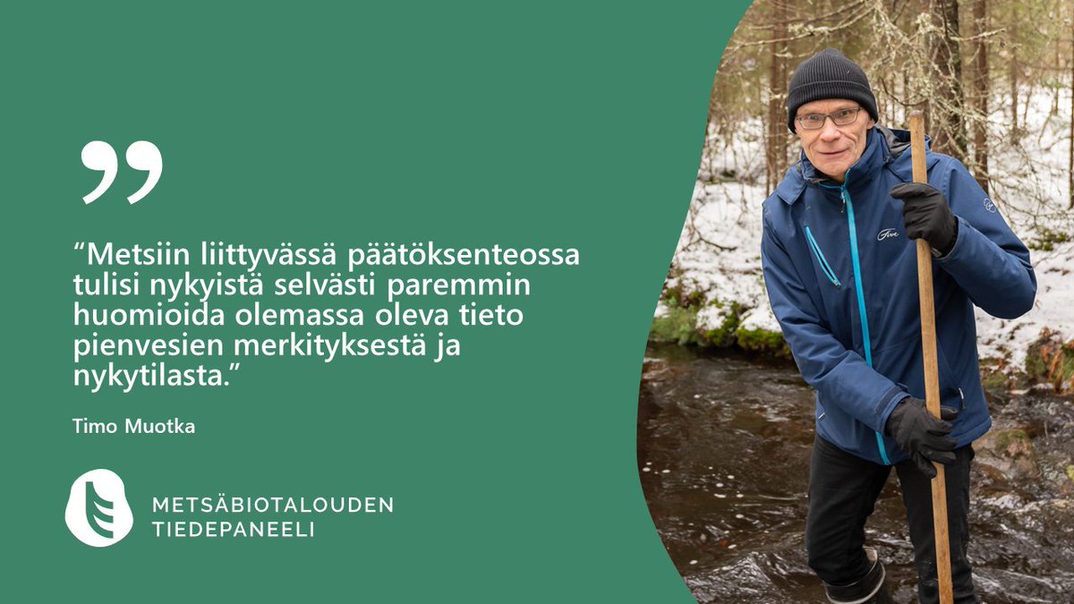 Pienvesillä on nimestään huolimatta suuri vaikutus ympäröivän luonnon monimuotoisuuteen, mutta ne on unohdettu luonnonsuojelu- ja metsälaeista lähes kokonaan.

Lue lisää <a href="/UniOulu/">University of Oulu</a> professori Timo Muotkan blogista: metsatiedepaneeli.fi/blogit/pienved…
