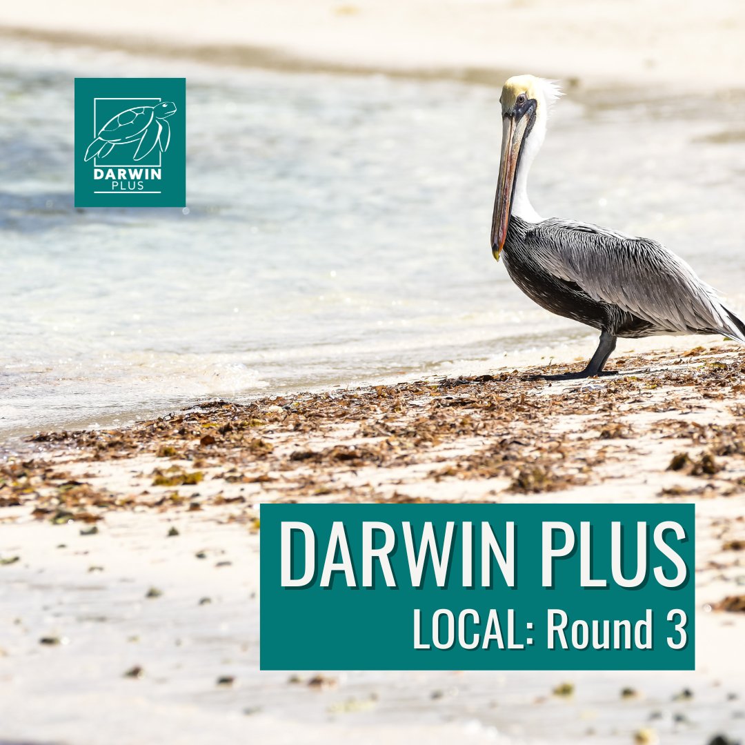 Are you interested in working to #ProtectBiodiversity, #BuildCapacity & improve resilience to #ClimateChange in the #UKOverseasTerritories? We're interested in your ideas. 🗓️ #DarwinPlus Local, closes Weds 29 Nov 💰£20-£50k funding 🔗 loom.ly/Qa7tqoM Good luck!