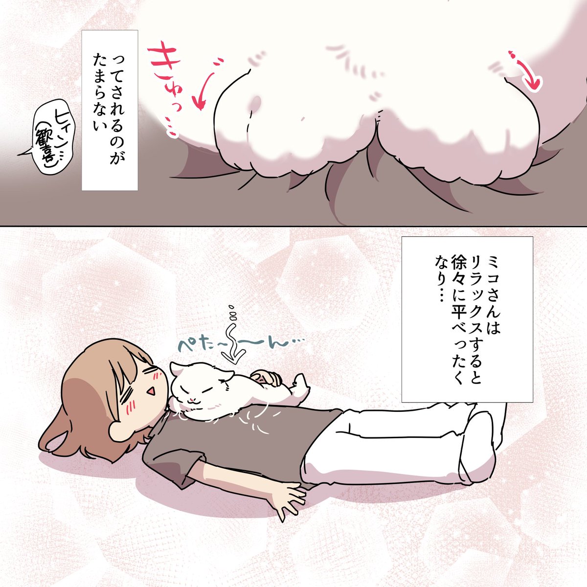 猫に踏んでもらう方法(2/2) #愛されたがりの白猫ミコさん #漫画が読めるハッシュタグ