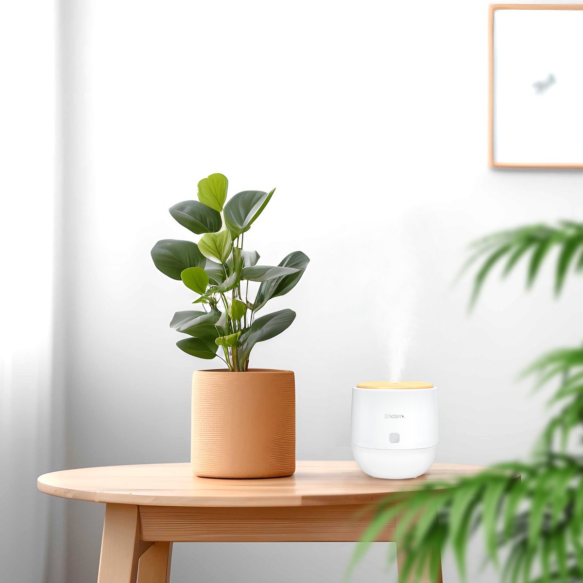 scentachina1's tweet image. 🏡🏡Feature your stylish interior decor
with the LED Aromatherapy Diffuser,
Change the air you breathe.

link in bio

#essentialoildiffuser #diffusers #aromatherapyproducts #homescent
#aromadiffuser #waterlessdiffuser
#portablediffuser #airfreshener #aromamagic