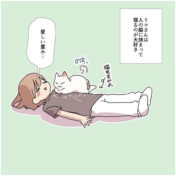 猫に踏んでもらう方法(1/2) #愛されたがりの白猫ミコさん #漫画が読めるハッシュタグ