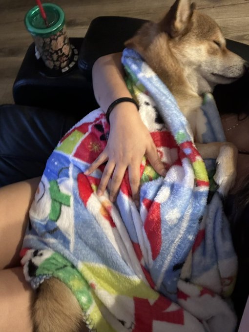 im a mommy fr https://t.co/3hbmoKzm8f