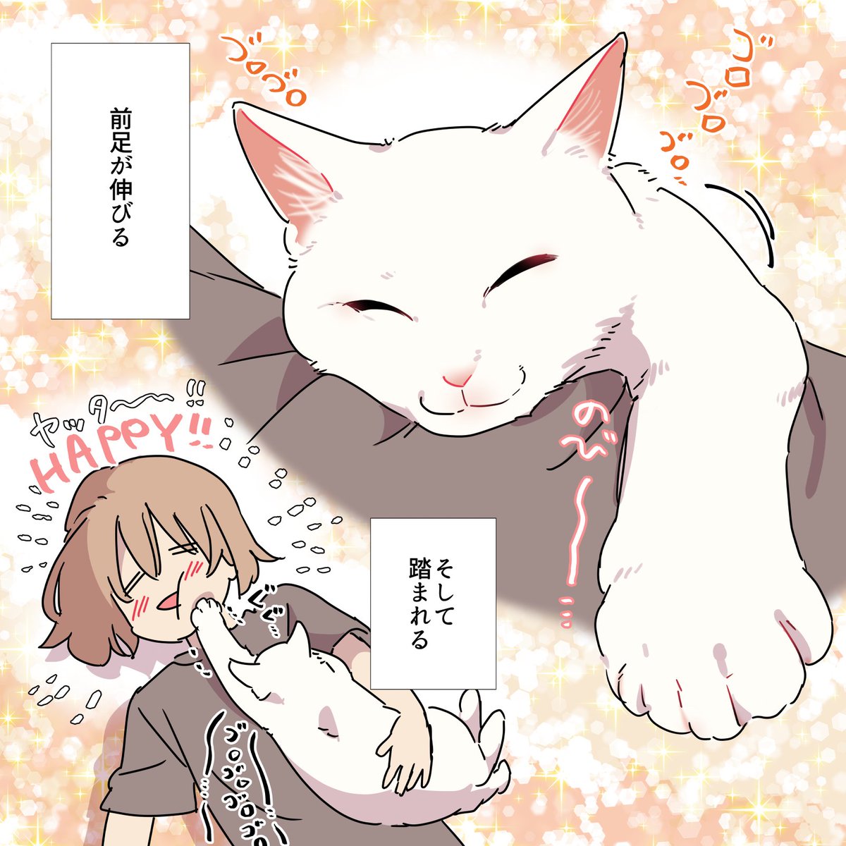 猫に踏んでもらう方法(2/2) #愛されたがりの白猫ミコさん #漫画が読めるハッシュタグ