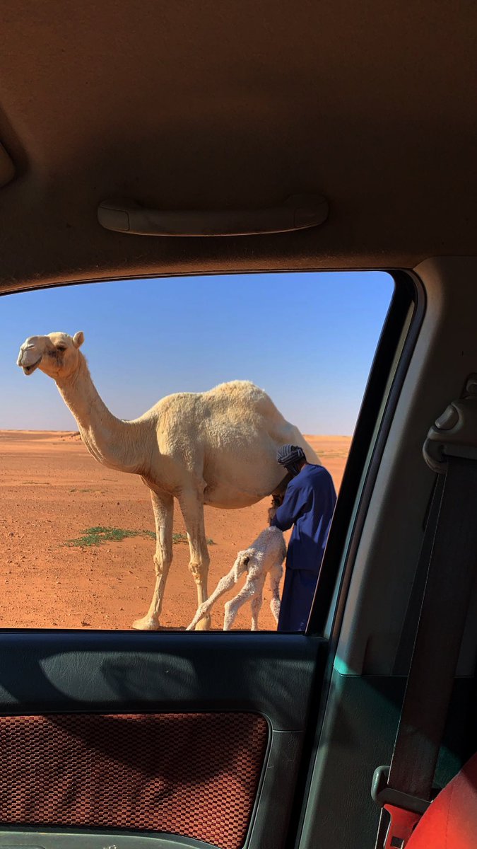 جعل ربي ما يجرّدني من شعور القناعه
يا كثر ما فاتني فرصة عمر وأقول خیره
.
#سنابيه 📸🤍
