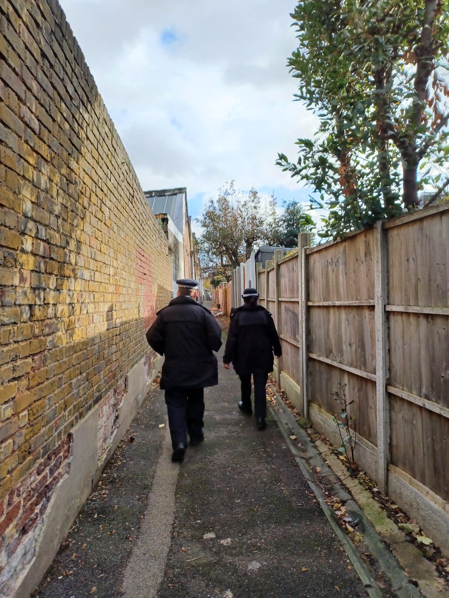 MPSWForest's tweet photo. Officers from Neighbourhood Policing conducted foot patrols and a Weapons Sweep in the William Morris ward as part of #OpScepre. https://t.co/aPSmYIjaMV