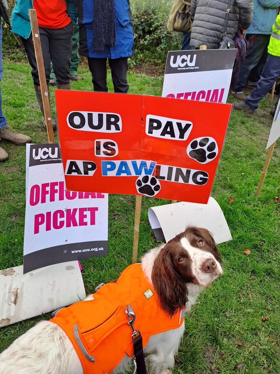Time for a change for FE, sending support to those who are standing up for equality of pay for FE compared to schools and HE. I loved my time in FE but found the demands rising year by year until I left a job I loved and worked hard for #standup
#RespectFE #animalcare #ucu