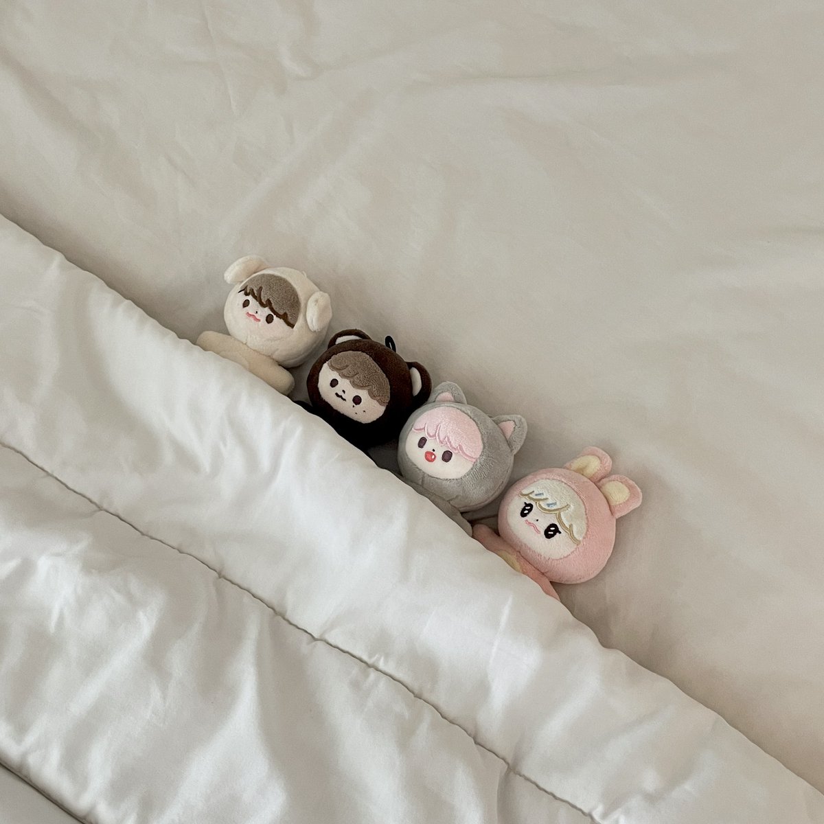 jelly p⋆˚𐙚 tweet media