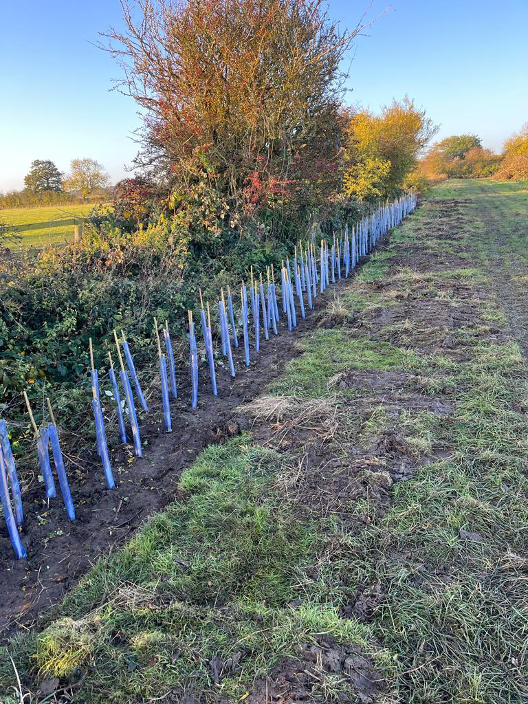 The Stapleford Estate tweet media