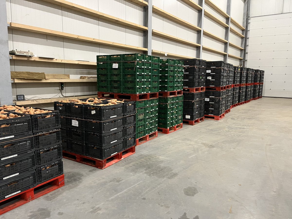 Als we buiten niet verder kunnen, dan maar binnen werken. Weer een partij Nederlandse zoete piepers klaar om naar de winkel te gaan!