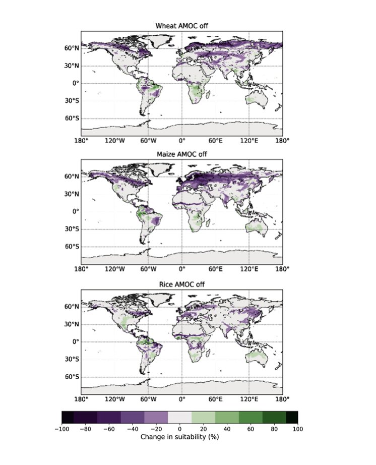 11/ A collapse would be catastrophic

Combined with global heating, half of the global growing area for wheat and maize (corn) would be wiped out, with big impacts on rice 

These three crops supply over half the world's calories

oecd-ilibrary.org/sites/f50ec22e…