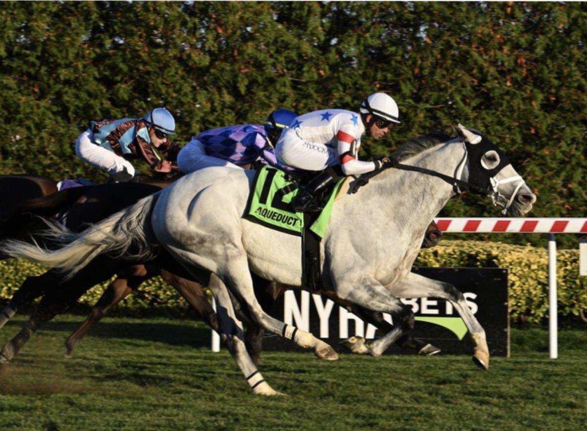 Beechmore_BS's tweet photo. MASTERPIECE (CHI) 🎨 🎻 takes out the Red Smith S. (GII) in good style at Aqueduct over the weekend. A HIT Private Purchase in 🇺🇸 Congratulations to winning owners Michael &amp; Jules Iavarone, Dino Baccari, Frank Argano and Peter Douglass. Trainer Rick Dutrow Jr. and Jose Lezcano https://t.co/nIiVXPVgcM