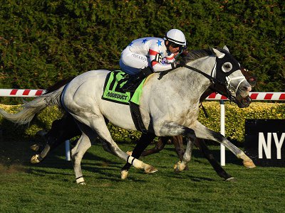 Beechmore_BS's tweet photo. MASTERPIECE (CHI) 🎨 🎻 takes out the Red Smith S. (GII) in good style at Aqueduct over the weekend. A HIT Private Purchase in 🇺🇸 Congratulations to winning owners Michael &amp; Jules Iavarone, Dino Baccari, Frank Argano and Peter Douglass. Trainer Rick Dutrow Jr. and Jose Lezcano https://t.co/nIiVXPVgcM