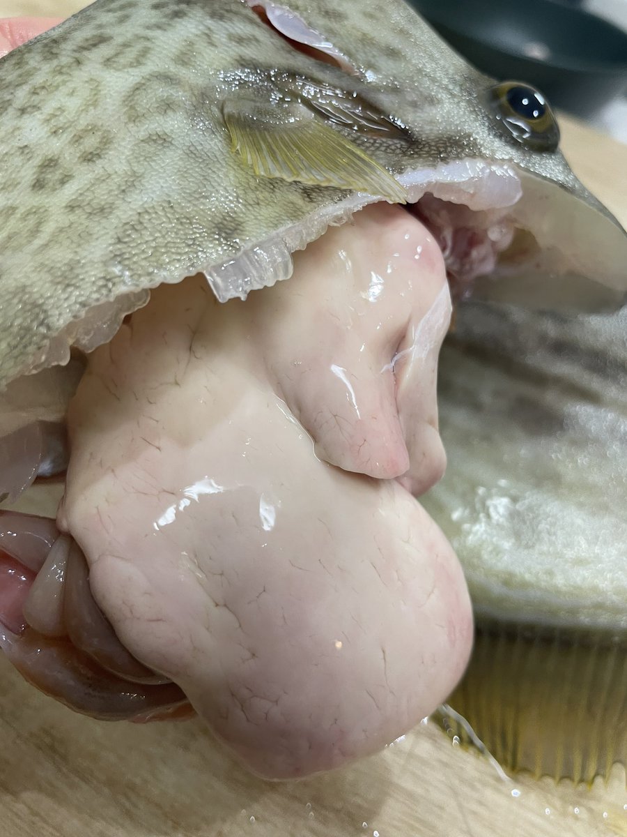 カワハギ釣りに行ってきた👻
よしよし、いい具合ですね🫡