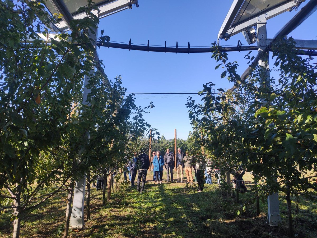 Ombrea (@ombreafr) on Twitter photo 📣 L'agrivoltaïsme suscite toujours plus d'intérêt ! 
Nous avons eu le plaisir de recevoir la visite des Directions Départementales des Territoires des Alpes de Haute Provence et des Hautes-Alpes sur notre site agrivoltaïque (mené avec la <a href="/SCP/">scp</a>) d'Apt, dans le Vaucluse. 📣 L'agrivoltaïsme suscite toujours plus d'intérêt ! 
Nous avons eu le plaisir de recevoir la visite des Directions Départementales des Territoires des Alpes de Haute Provence et des Hautes-Alpes sur notre site agrivoltaïque (mené avec la <a href="/SCP/">scp</a>) d'Apt, dans le Vaucluse.