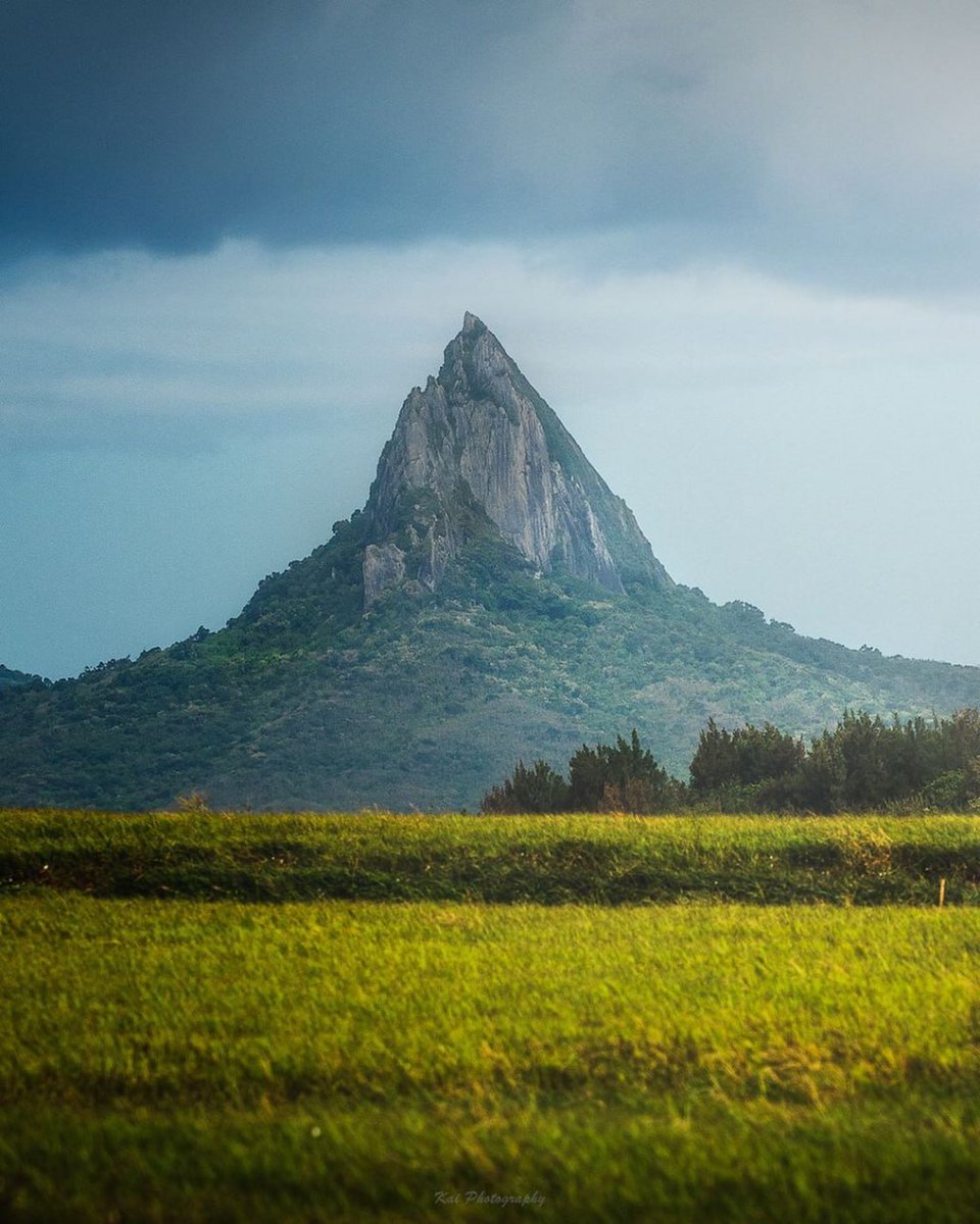 When you come to this world, you must make an effort to see more scenery.