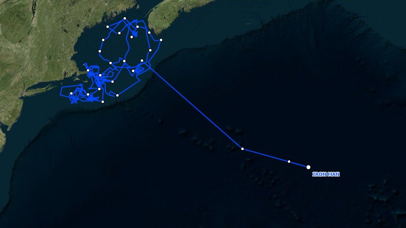 Our last great #shearwater that's still transmitting-Iron Man seems to have started its migration south! #trackseabirds #seabirds #birds #BirdsOfTwitter #science #research #scicomm #birdwatching