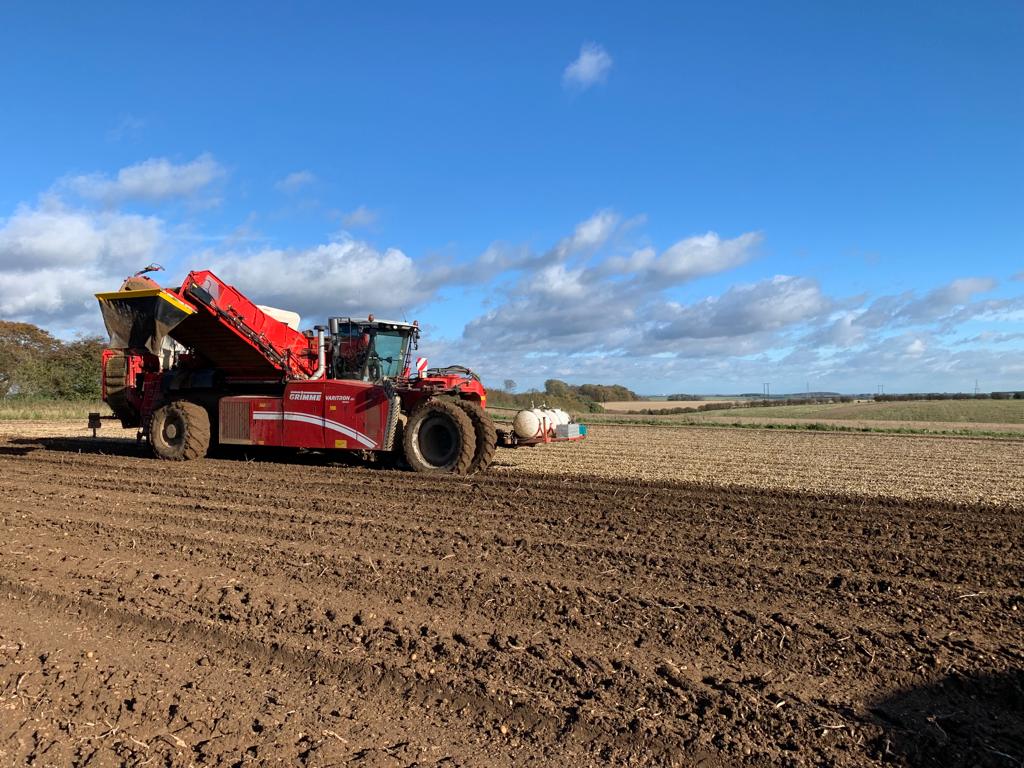 BennettPotatoes's tweet image. We are in the final stages of lifting our own grown crops and what a season it’s been 🙌🏻 Huge credit to everyone who has played a part in all our operations this season and worked every hour possible to get the crops lifted 🥔🍃