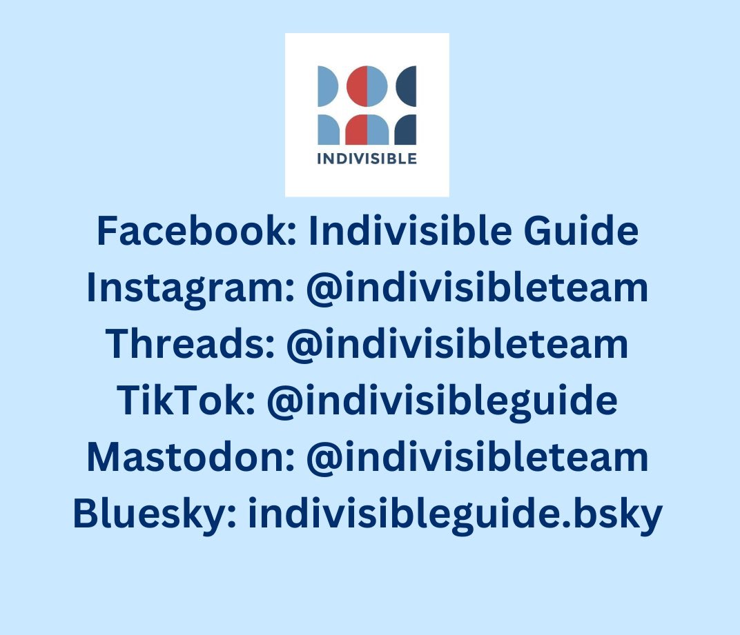 Indivisible Guide ❌👑 tweet media