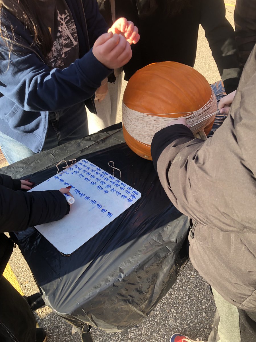 Students are exploring how many elastics it takes to make the pumpkin explode. Learning about dependant and independent variables in Gr 8!