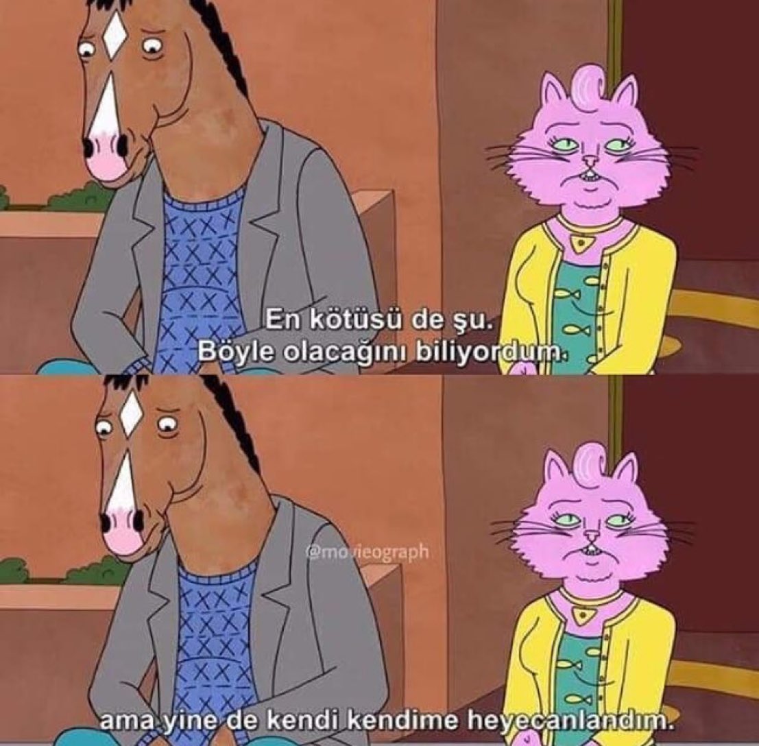 “En kötüsü de şu: Böyle olacağını biliyordum. Ama yine de kendi kendime heyecanlandım.” 

(BoJack Horseman)
