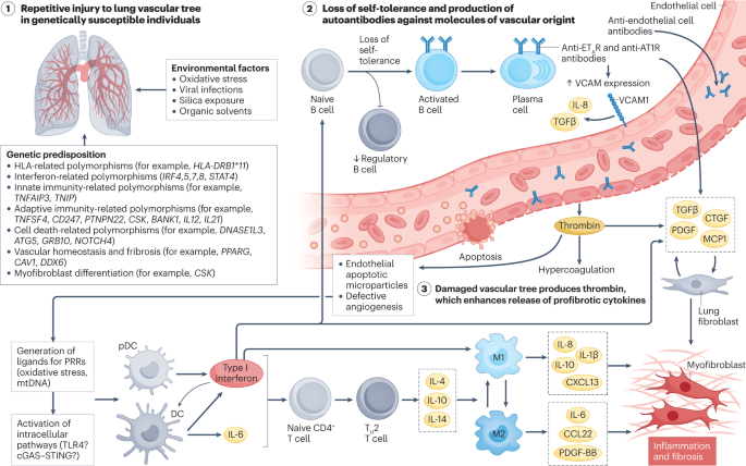 New content online! Systemic sclerosis interstitial lung disease: unmet needs and potential solutions dlvr.it/SyLB0q