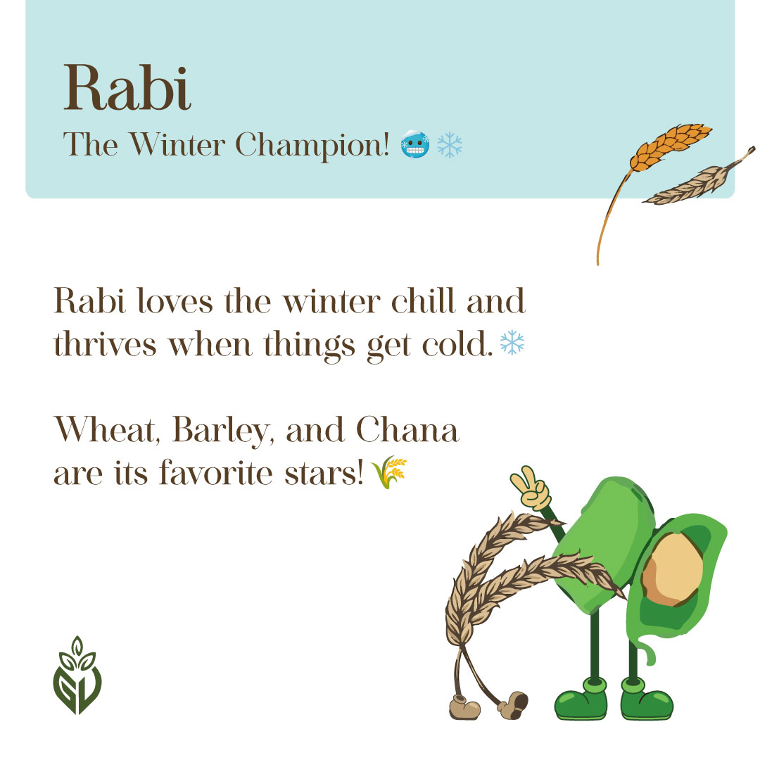 girveda's tweet photo. Swipe to explore the ultimate crop trio, each with its own unique tale to tell!

Check out the last slide and let us know what you think about that hashtag?
.
#Girveda #DelightfulNovember #GoGreenWithGirveda #GirSeGharTak #CowbasedFarming #HealthyLiving #HealthyLife https://t.co/bBl3clGOAB