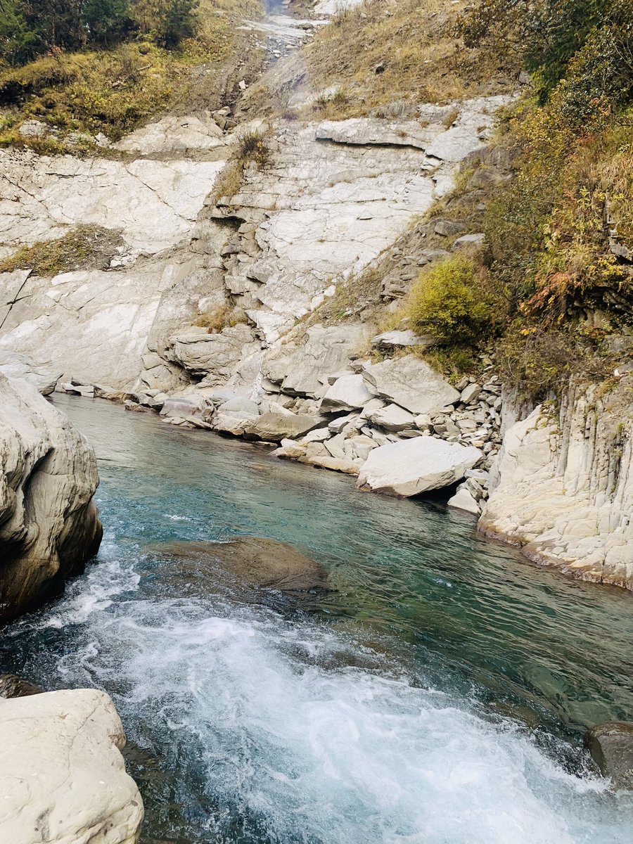 reginaldroyston's tweet photo. Dhauladhar Wildlife Sanctuary:Crown Jewel of Kangra District,HP. https://t.co/amkeRjksXT