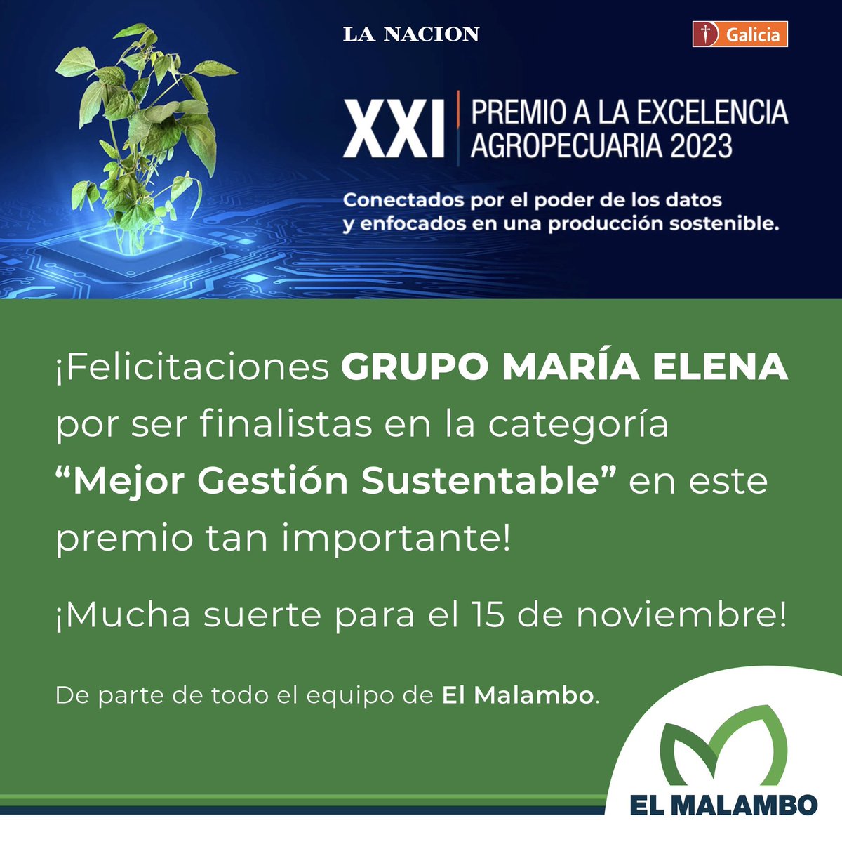 💪🏻 Felicitamos al Grupo María Elena por ser finalistas en a categoría Mejor Gestión Sustentable de los premios Excelencia Agropecuaria 2023.

🙌🏻 ¡Exitos!

@juanmartinospital
@dpompas1
<a href="/bancogalicia/">Galicia</a>

#GestiónSustentable #ExcelenciaAgropecuaria #ElMalamboAgro #GeneralVillegas