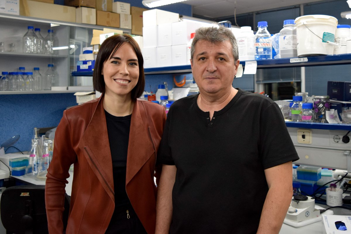 Diana Morant tweet media