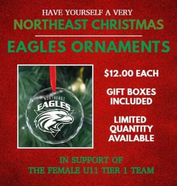 NEMHAu11F_tier1's tweet photo. Oh Christmas Tree, Oh Christmas Tree 🎄🎶 

Order yours here:
https://t.co/lKaK5cMCt3 

Your tree will be the talk of the whole Northeast area with these beautiful crystal glass Eagles ornaments in support of the Female U11 Tier 1 Team! https://t.co/JBKYHX7QY4