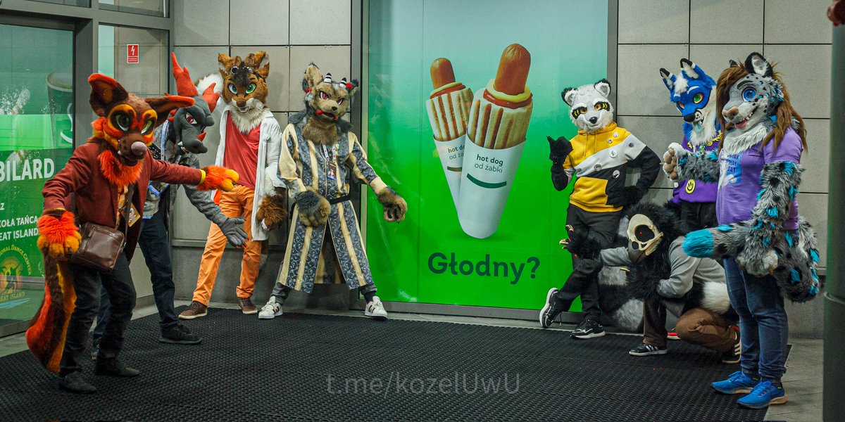 Bardzo dobre hotdogi w <a href="/ZabkaPolska/">Żabka Polska</a>, takie z ketchupem (chyba, że nie lubicie ketchupu to pozwalają też bez)

#FurryInvadePL #FursuitFriday