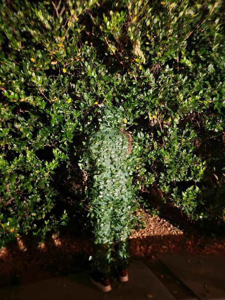 In celebration of #FortniteOG there’s only one place you will find me today.