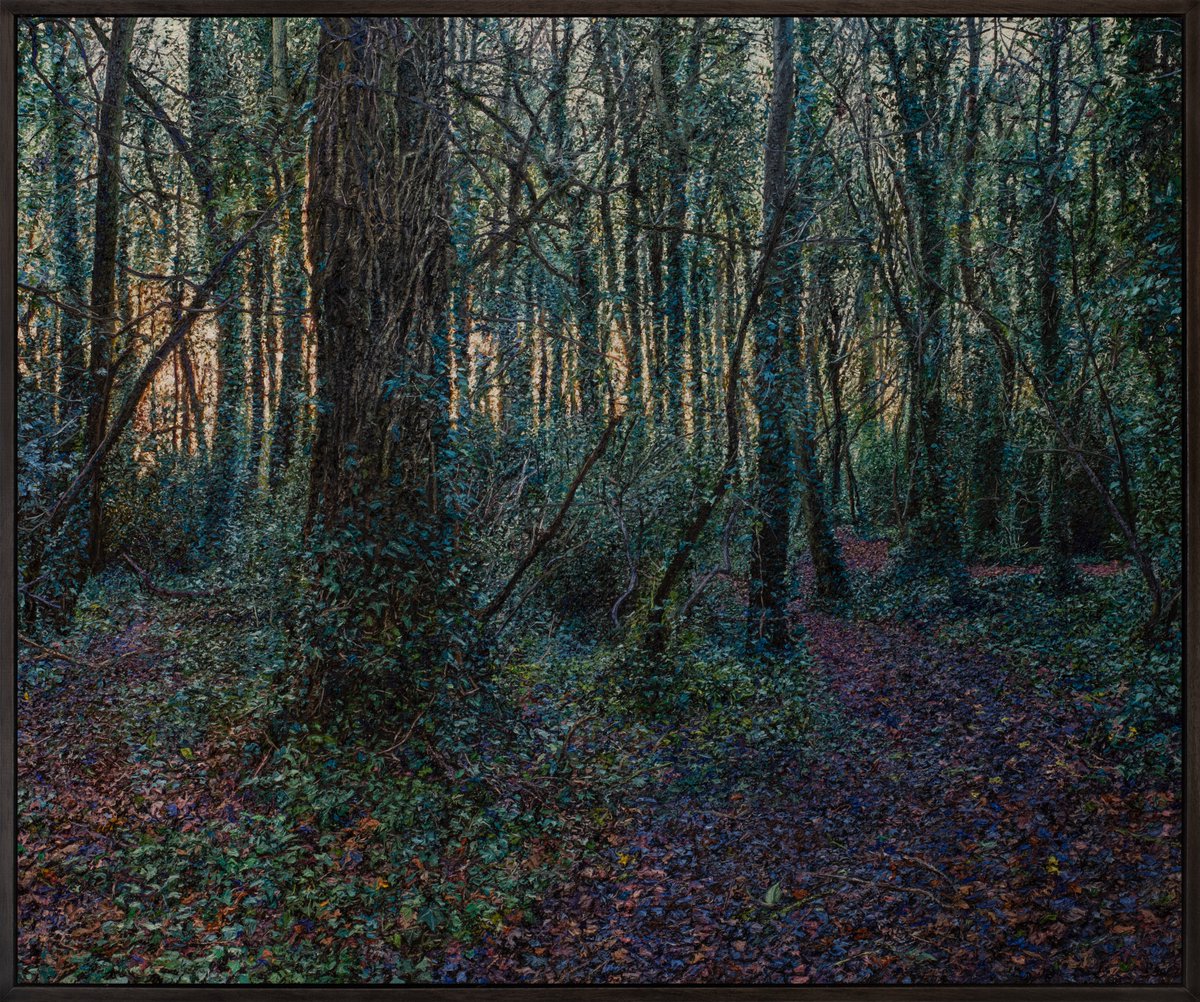 "Under the wings of a murder of crows"
Oil on canvas 124 x104cm.
The image is from sundown at Winter Solstice last year in the woods in Castletown.
#savecastletown