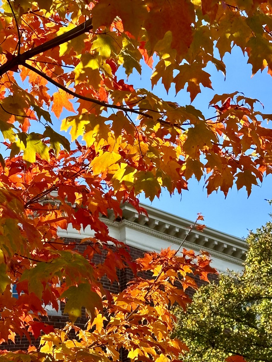 harvardclubfr's tweet photo. Hello from Harvard! President Audrène Eloit and board member Anna Lea Albright attended the Harvard Alumni Leadership conference. We look forward to bringing back what we learned to better serve our community. https://t.co/hcrzPeG5eQ