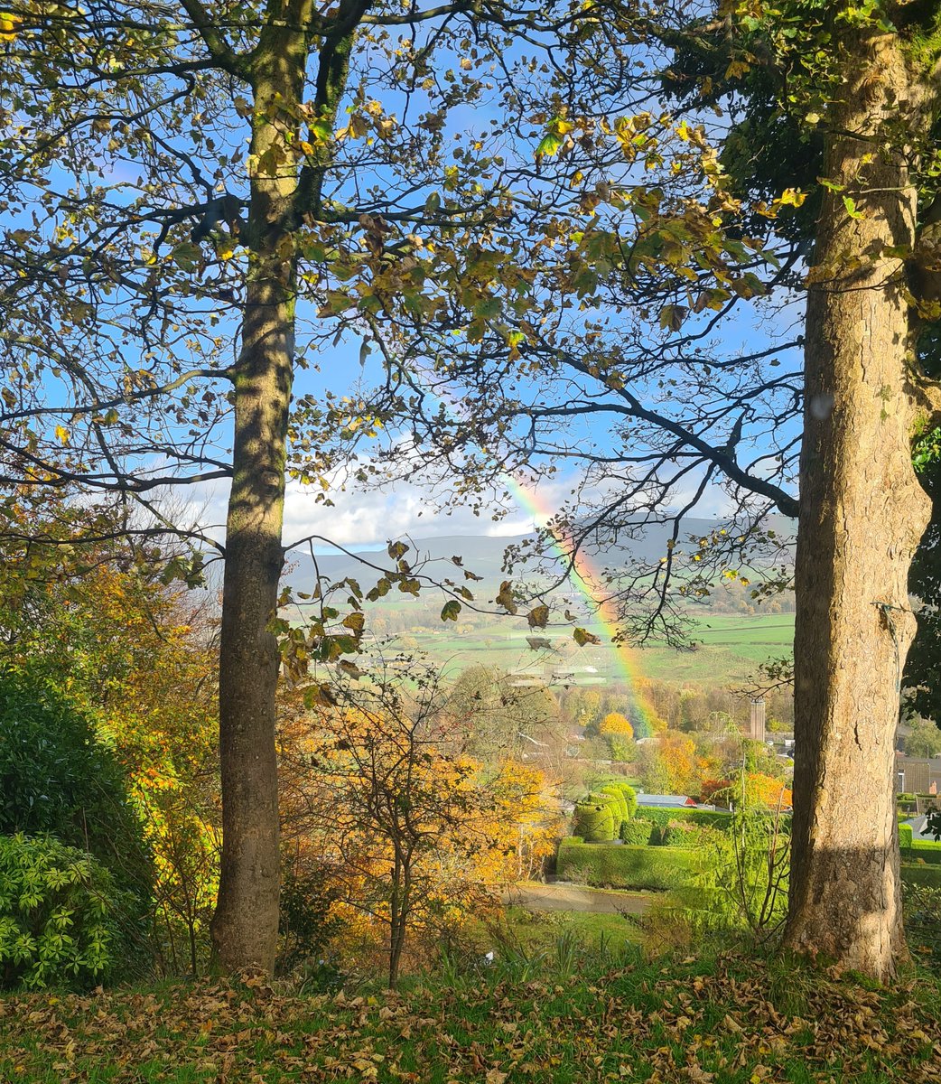Not a bad view from the <a href="/neuroinnature/">Neuro In Nature CIC</a> office this afternoon. Difficult to get the admin done with this beautiful rainbow for distraction! 🍂🌈🌳