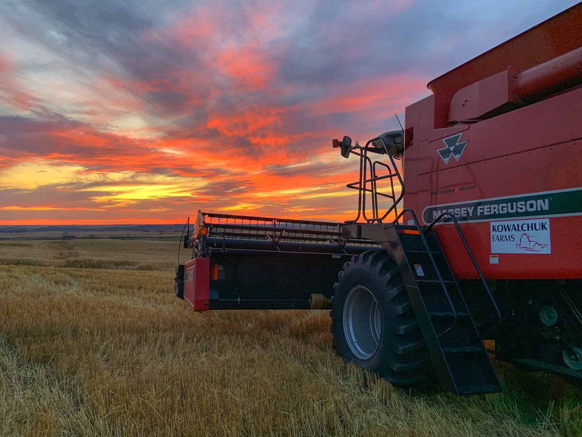 John Kowalchuk🧢 tweet media