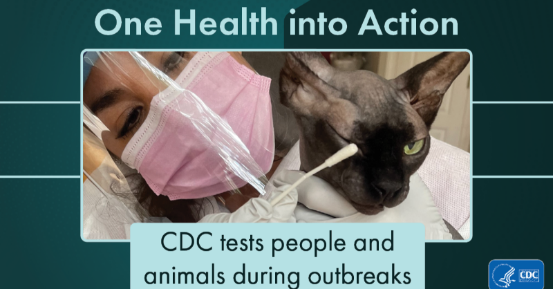 #OneHealth is more than a concept, it’s an approach to health that recognizes people, animals, plants, and our environment are interconnected.

bit.ly/cdcOneHealth

#OneHealthDay