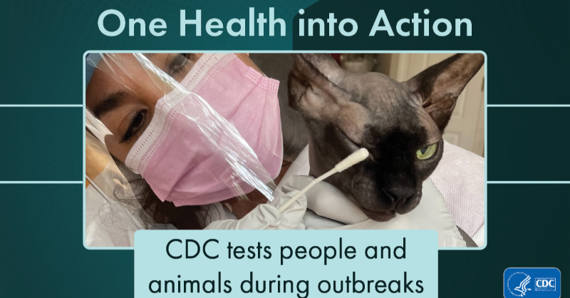 #OneHealth is more than a concept, it’s an approach to health that recognizes people, animals, plants, and our environment are interconnected. bit.ly/cdcOneHealth #OneHealthDay